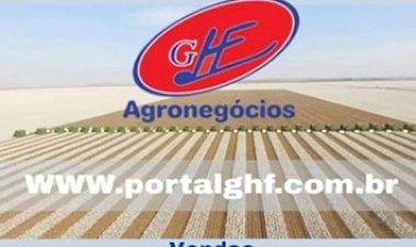 StoneX projeta queda de 7% na safra de algodão brasileiro em 2025/26