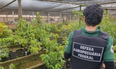 Governo e polícia deflagram operação contra trânsito irregular de sementes em São Paulo