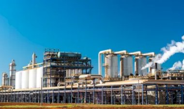 Atvos e NetZero firmam acordo de R$ 30 milhões para produzir biochar de resíduos da cana