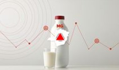 Conseleite/MG divulga projeção dos valores do leite entregue em setembro/25