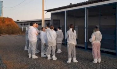 China conclui inspeção em granjas e frigoríficos no RS e avalia retomada das exportações de frango