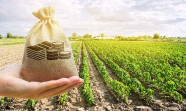 Crise no crédito rural expõe fragilidade do setor, avalia especialista