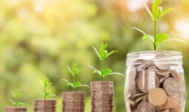 Crédito emergencial rural: especialista alerta para riscos jurídicos na MP 1.314/2025