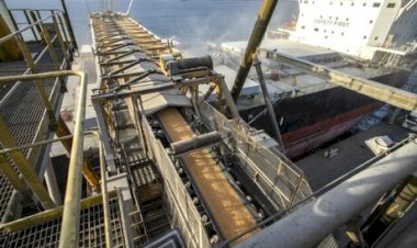 Brasil precisa exportar mais milho para reduzir estoques