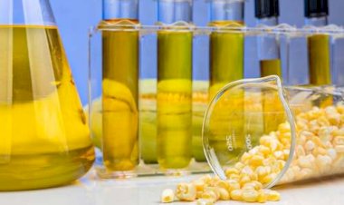 Coprodutos do etanol de milho ganham espaço na nutrição animal