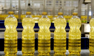 Participação do óleo de soja na margem da indústria supera a do farelo pela primeira vez