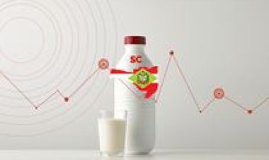 Conseleite/SC projeta valor de referência do leite a ser pago em outubro/25