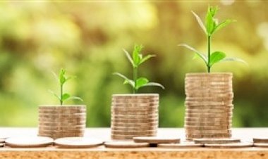 Lei cria Plano Safra específico para agricultura familiar e reforça crédito do Pronaf