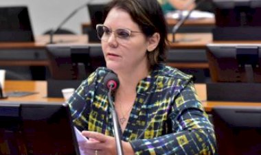 CAPADR aprova requerimento para convocar Marina Silva sobre atuação do MMA em defesa da Moratória da Soja