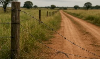 CCJ da Câmara aprova criação do cadastro de invasores de propriedades
