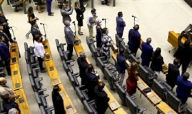 Produtores têm regras específicas no novo IR