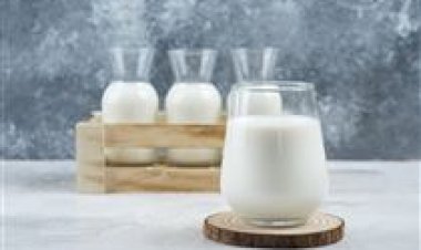 Misturas lácteas ganham força no mercado brasileiro