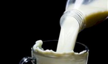 Cooperativas de leite lideram produção no ES