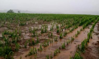 Temporal avança pelo Sul e calor extremo persiste no Centro-Oeste e Sudeste