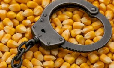 Golpe do Milho: Polícia desarticula quadrilha que movimentou R$ 120 milhões em fraudes