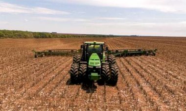 Estabilidade marca soja mais ao Sul