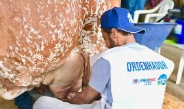 3ª ExpoLeite: disputa acirrada marca início do Concurso Leiteiro