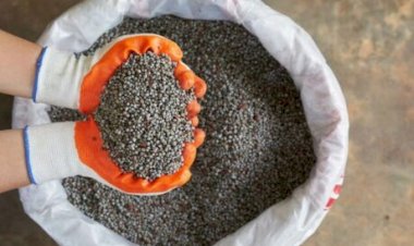 Demanda por fertilizantes pode levar Brasil a novo recorde de importações