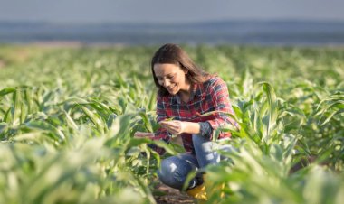 Mulheres rurais somam 6,1 milhões e são motor na economia do campo, aponta Censo