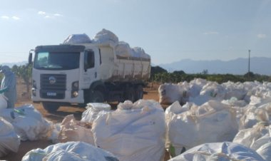 Logística reversa: ação na Bahia recolhe 195 mil embalagens vazias de agrotóxicos em um mês