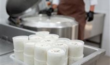 MS: sindicato reforça propostas para fortalecer a indústria de laticínios