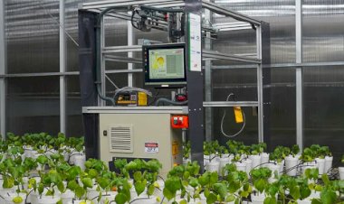 Robô noturno da Embrapa detecta doenças em lavouras de algodão e soja antes dos sintomas