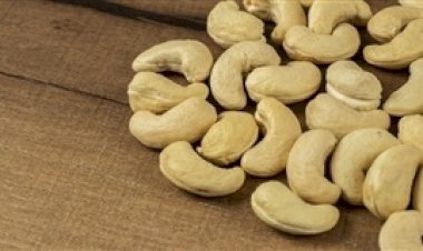 Brasil exportará castanha-do-Brasil à Costa Rica