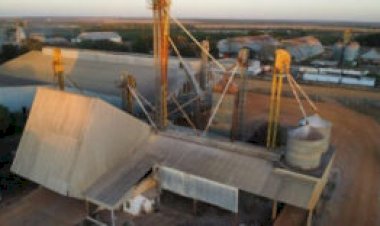 Complexo industrial de grãos em Mato Grosso vai a leilão por R$ 22 milhões