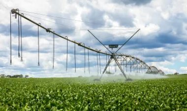 ACP Bioenergia chega à Bahia com novo polo agrícola irrigado e parceria inédita