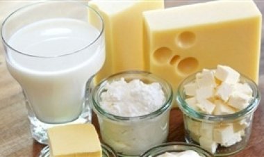 Embrapa: quantos produtos lácteos diferentes existem no Brasil?