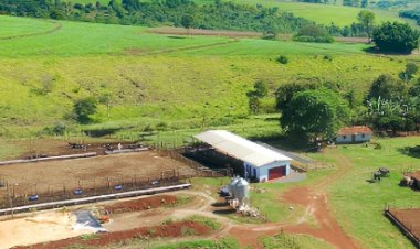 Com o apoio do MilkPoint Capital, produtor mineiro conquista acesso a crédito e dá o passo decisivo para transformar sua fazenda de leite