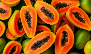 Sakata entra no mercado de mamão e testa novo modelo global no Brasil