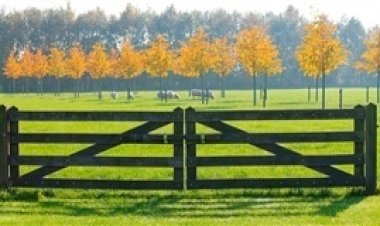 Prazo do georreferenciamento rural é prorrogado