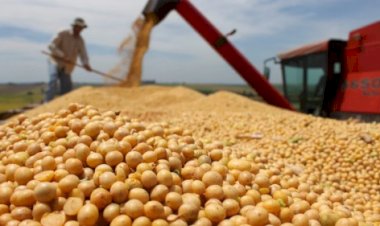 Cotações Agropecuárias