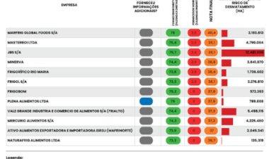 Setor da carne avança, mas continua sem rastrear o gado de áreas desmatadas