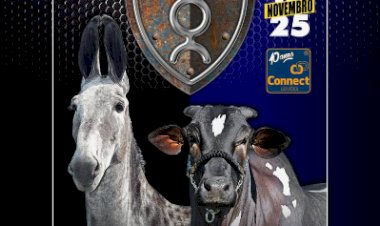 5° LEILÃO FAZENDA SÃO JOAQUIM