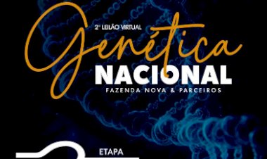 2º LEILÃO VIRTUAL GENÉTICA NACIONAL - FAZENDA NOVA & PARCEIROS - ETAPA NELORE