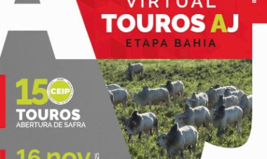 56º LEILÃO VIRTUAL TOUROS AGROPECUÁRIA JACAREZINHO - ETAPA BAHIA