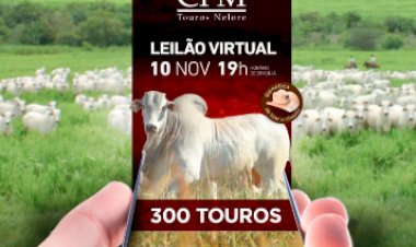 LEILÃO VIRTUAL CFM
