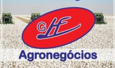 Cotações Agropecuárias
