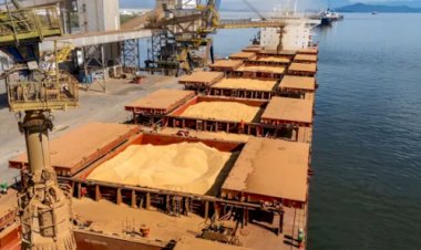 Exportações de soja devem alcançar 7 milhões de toneladas em outubro, aponta Anec
