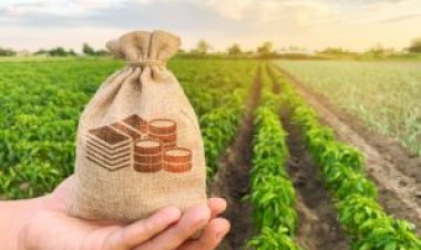 Instituto repudia ameaça a produtores e defende direito à recuperação judicial