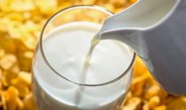 CNA reforça pedido para reabrir investigação de dumping