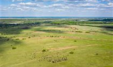 TSB: avanço ambiental ou barreira ao agro?