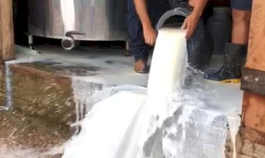 Presidente João Martins, da CNA, acaba de fazer pronunciamento em defesa dos PRODUTORES DE LEITE do BRASIL