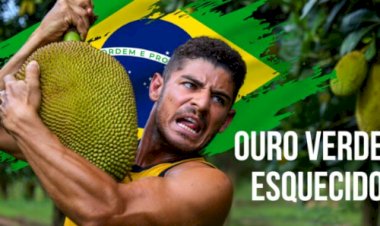 Jaca: O ouro verde esquecido que pode revolucionar a agricultura brasileira