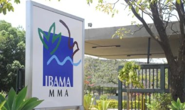 Ibama descobre R$ 25 milhões em empréstimos rurais irregulares e aciona bancos públicos