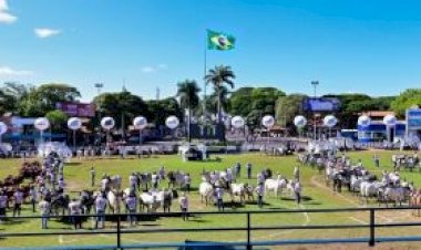 ABCZ divulga o regulamento da ExpoZebu 2026