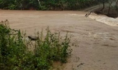 RS após o ciclone: Defesa Civil registra estragos em mais de 30 municípios