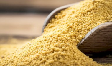 Farelo de soja brasileiro bate recorde e conquista o mundo